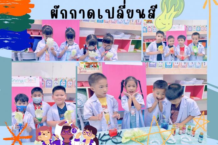 การทดลองวิทยาศาสตร์ อนุบาล3/1 ห้องลีลาวดี เด็กๆและคุณครูได้ทำการทดลอง ผักกาดเปลี่ยนสี