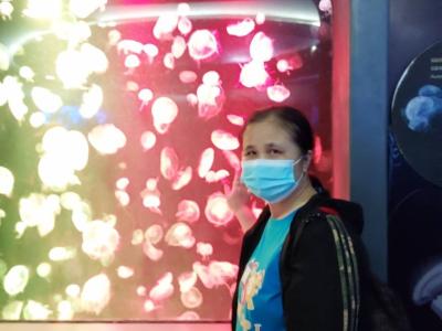ค่ายวิทยาศาสตร์ ครั้งที่ ๑ MTS Science Camp : I
