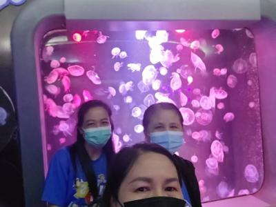 ค่ายวิทยาศาสตร์ ครั้งที่ ๑ MTS Science Camp : I