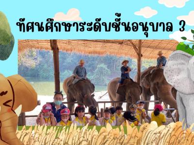 กิจกรรมทัศนศึกษา