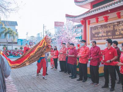 ตรุษจีน 2021 ปีฉลูปีวัวนำโชค 新正如意 新年发财！